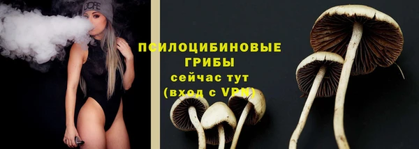 2c-b Покачи