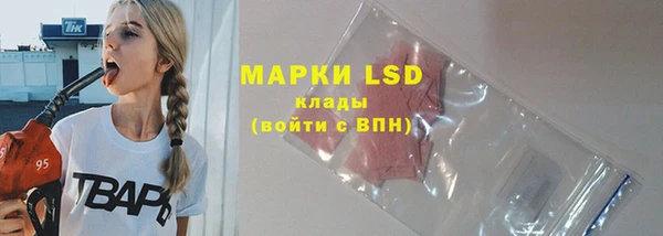 стаф Абинск