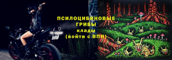 сатива Абдулино